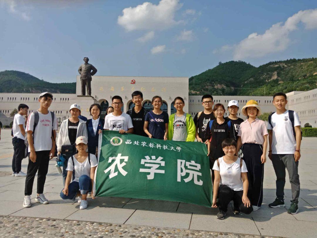 爸妈和马斯克很像,其实他们就此收手,赚到的钱够子孙后代用了